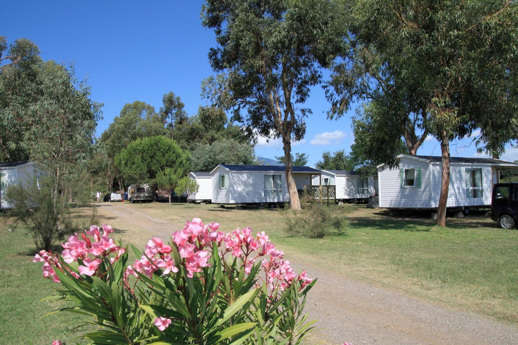 Camping Miami Plage Hotel Poggio Mezzana Exterior photo