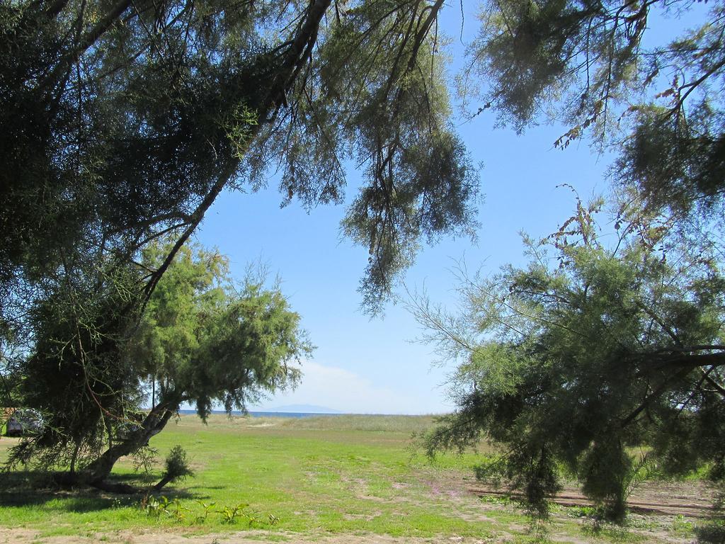Camping Miami Plage Hotel Poggio Mezzana Exterior photo