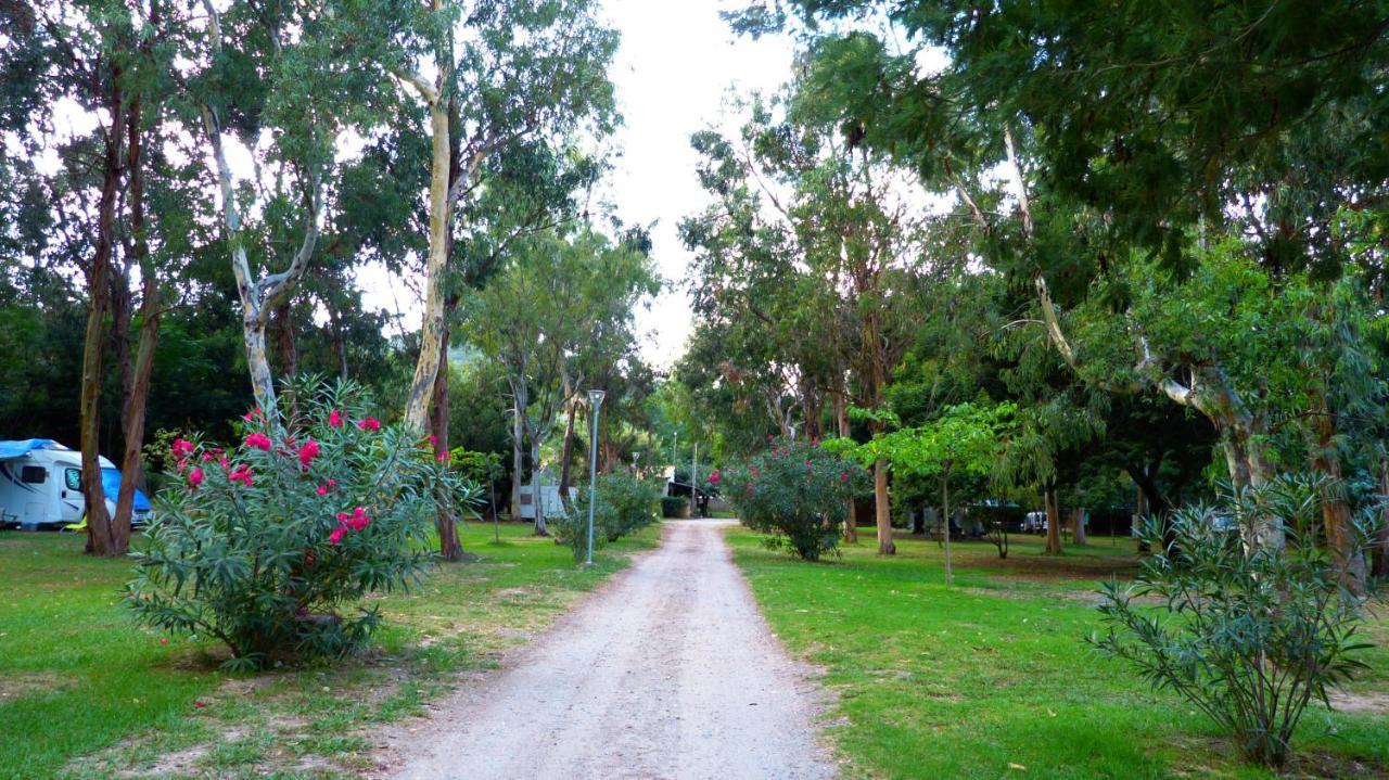 Camping Miami Plage Hotel Poggio Mezzana Exterior photo
